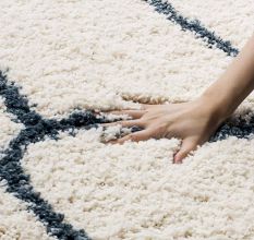 Cozy Shaggy Living Rug